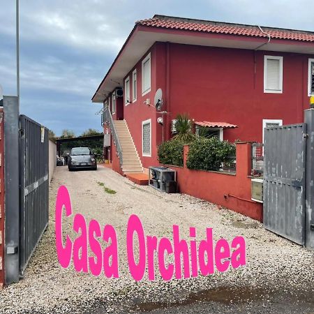 Casa Orchidea Lejlighed Fiumicino Eksteriør billede